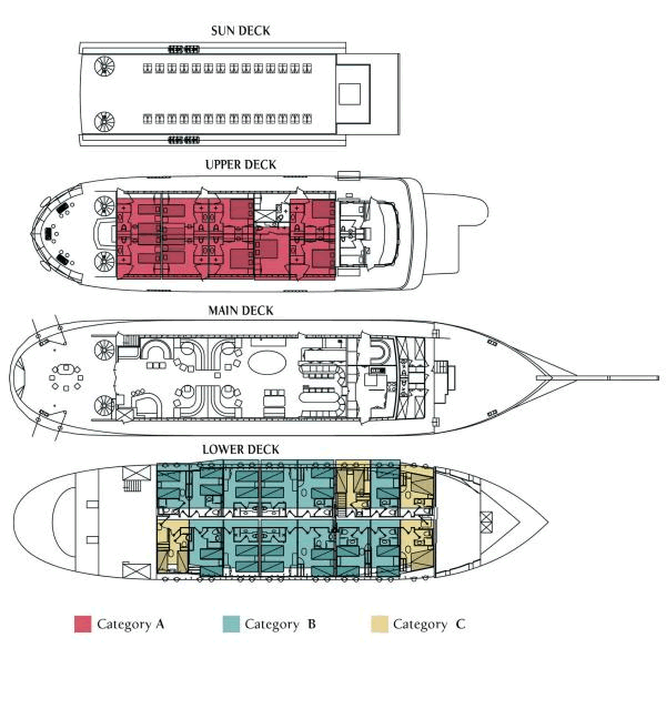Deck plant Galileo